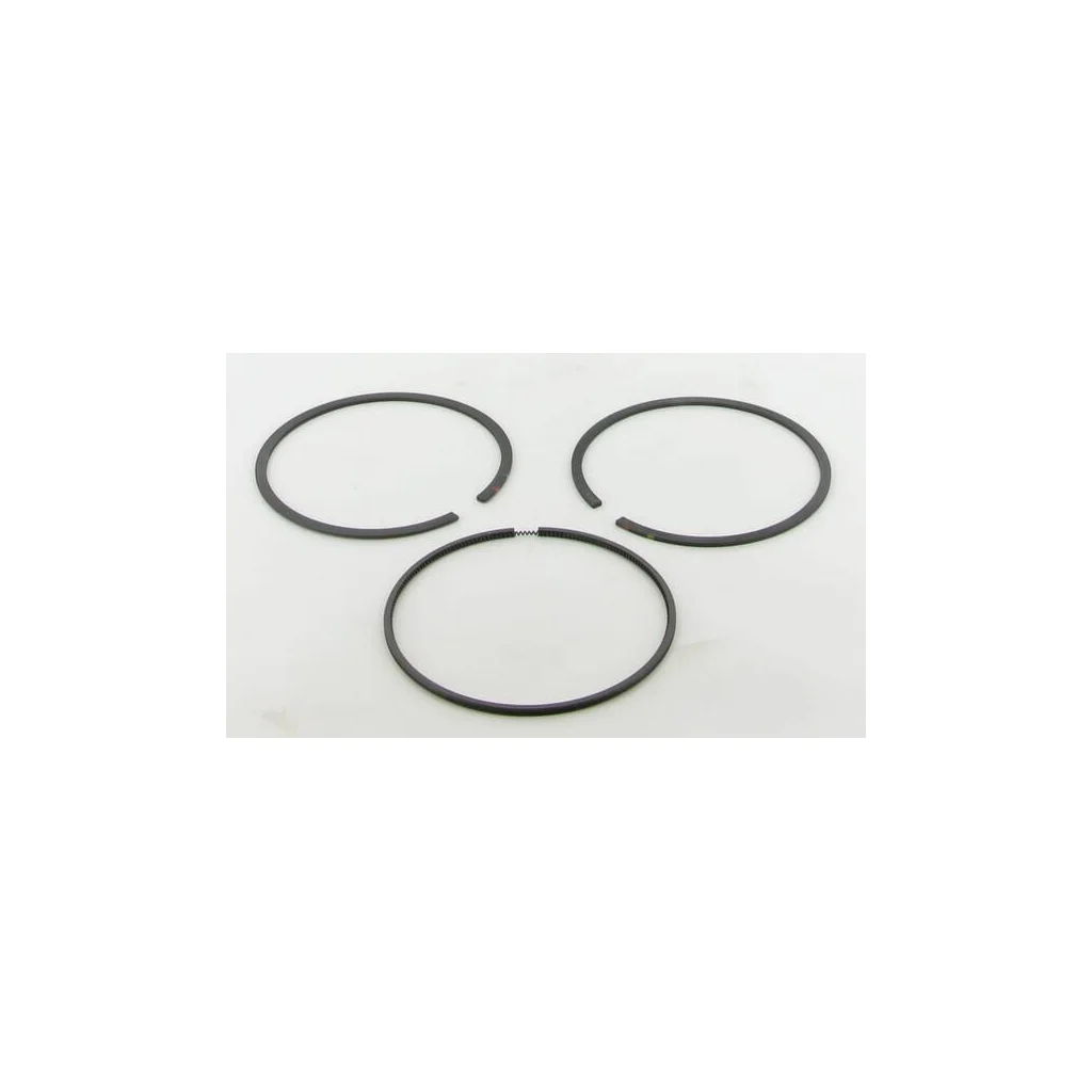 Set segmenți piston standard 696403