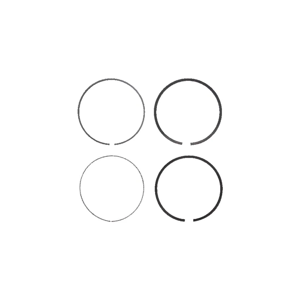 Set inel piston standard 698375