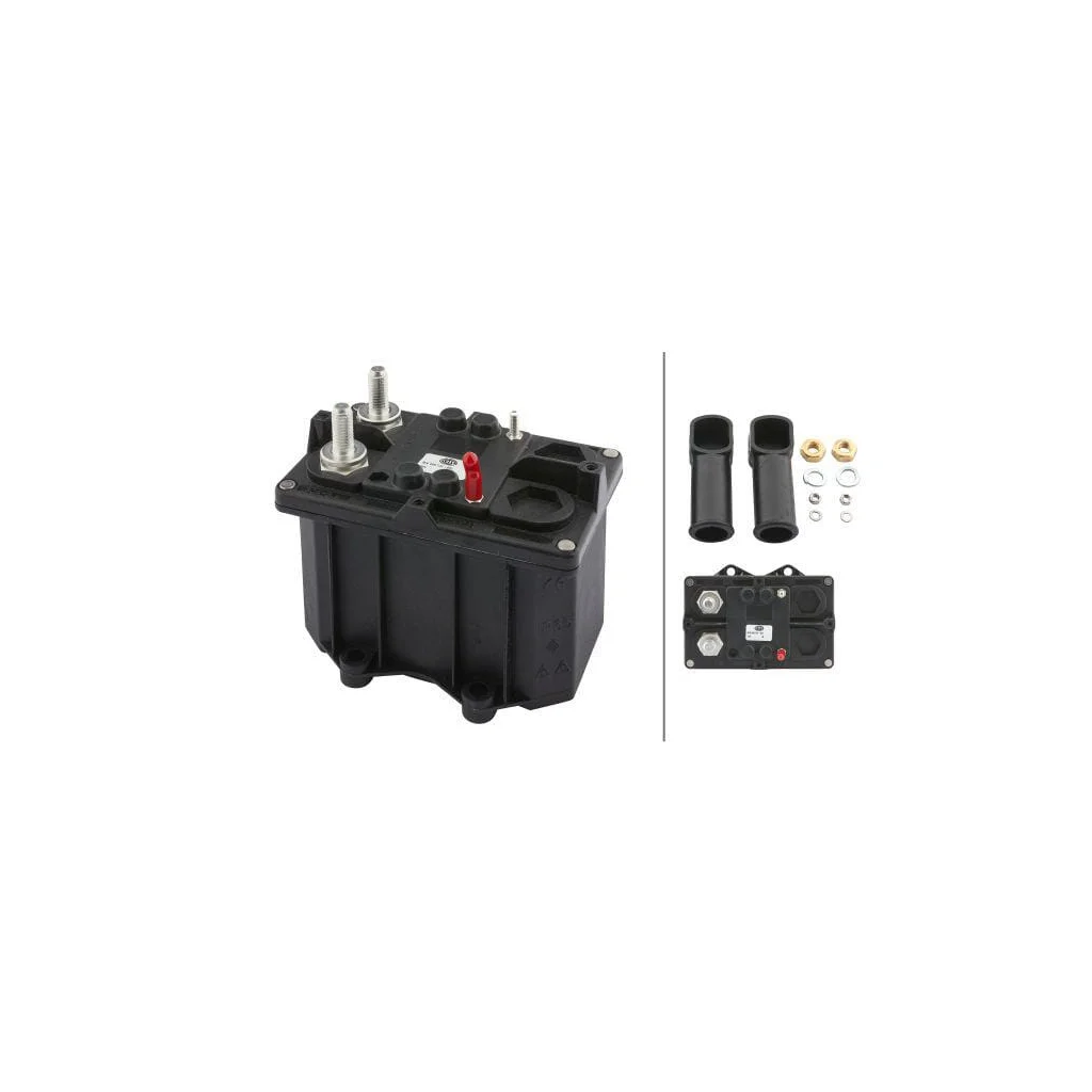 Comutator principal Hella 6EK008776031