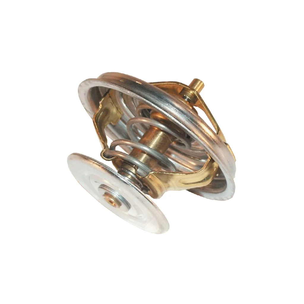 Termostat 70011316W