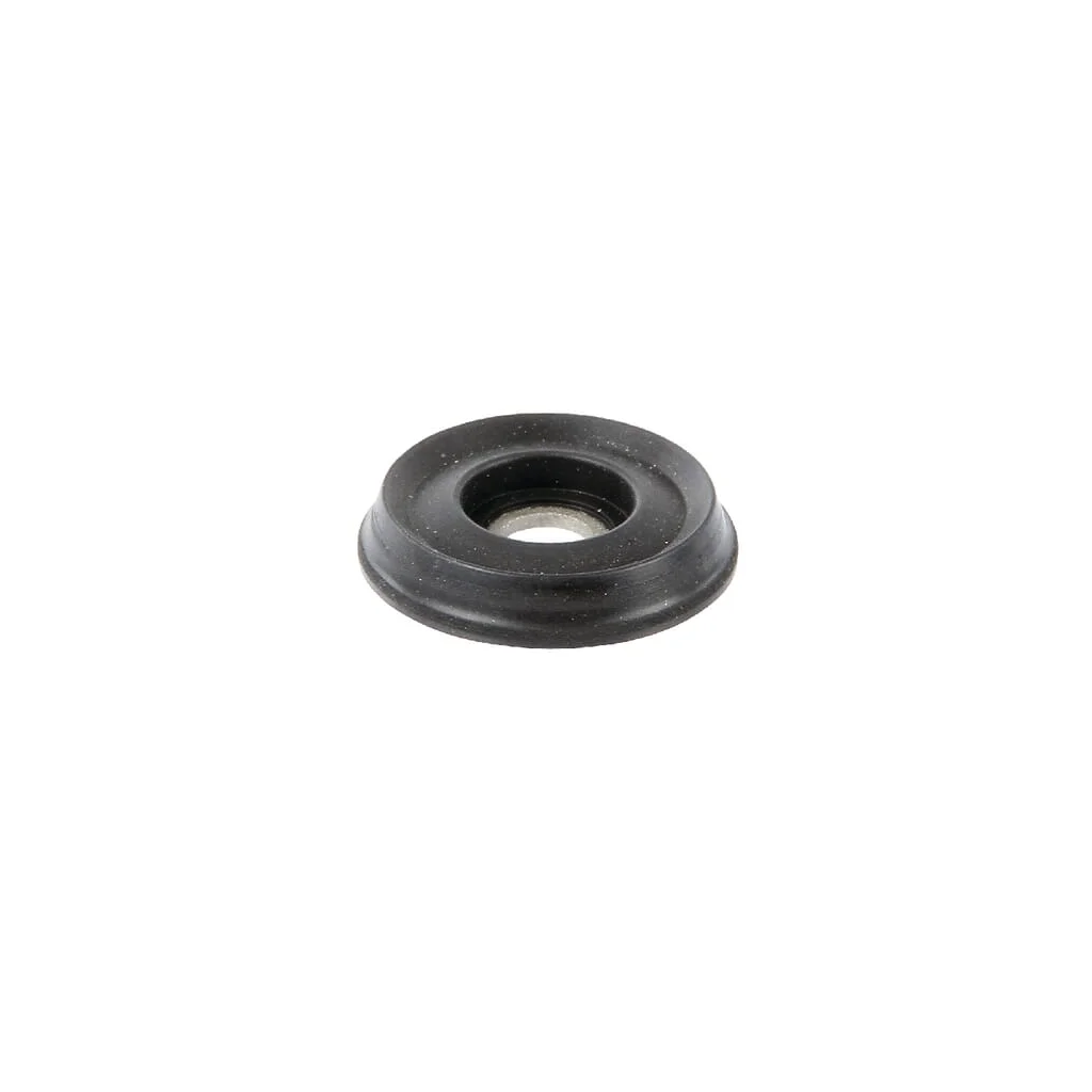 Supapă disc 7665300