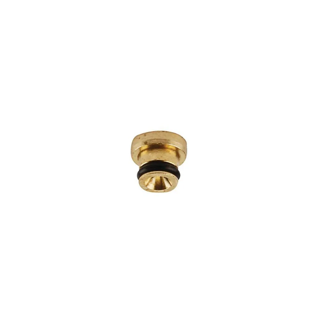 Injector principal 791405