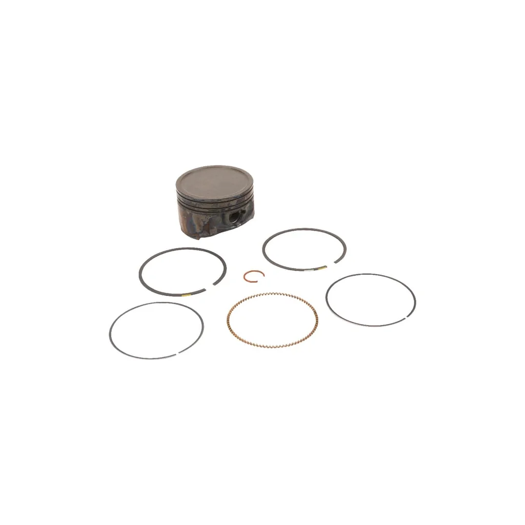 Piston complet standard 791786