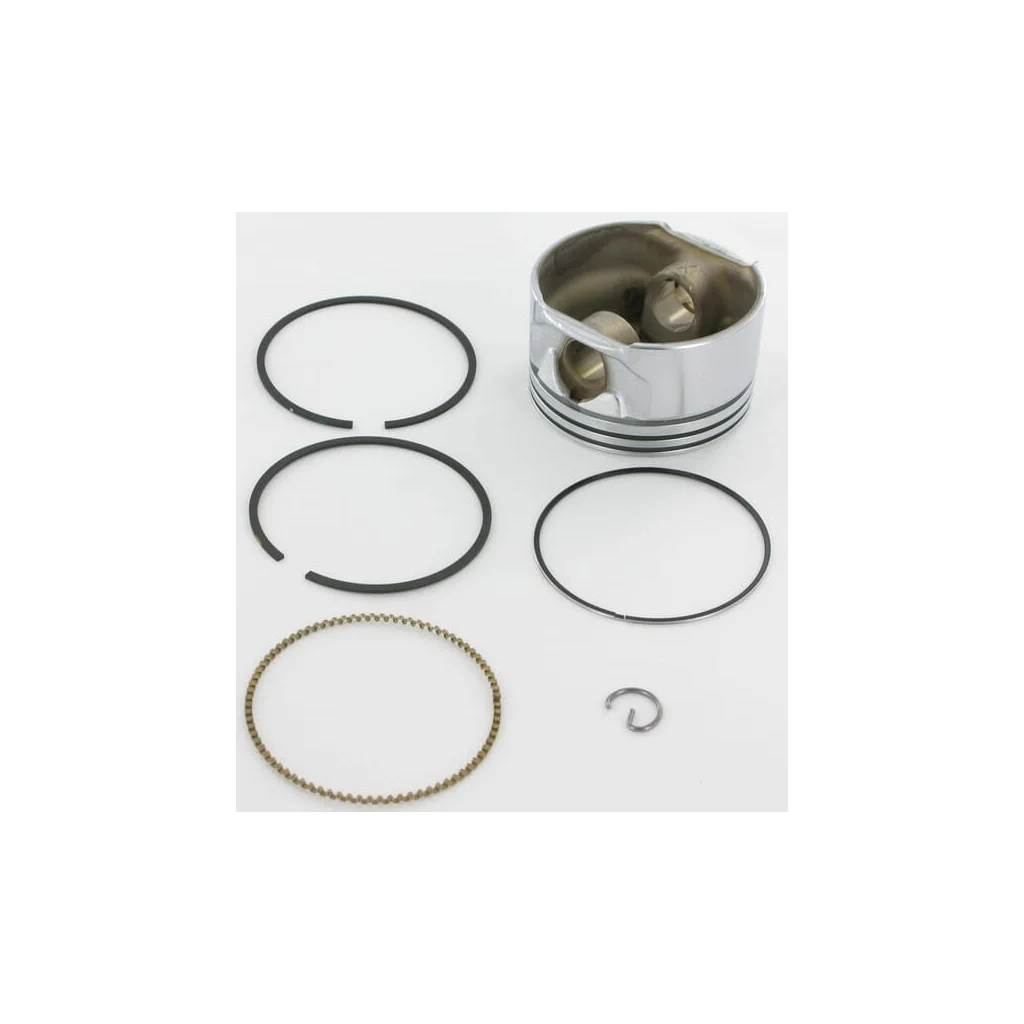 Ansamblu piston.020 793518
