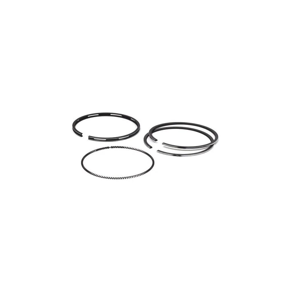 Set segmente piston standard 792366