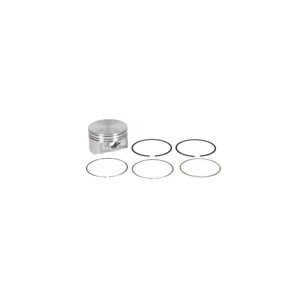 Piston complet standard 793647