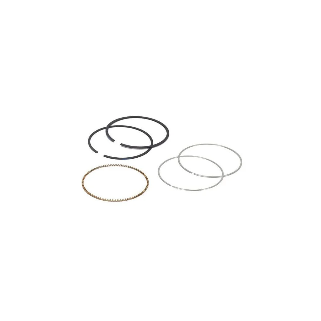 Set segmenți piston standard 795690