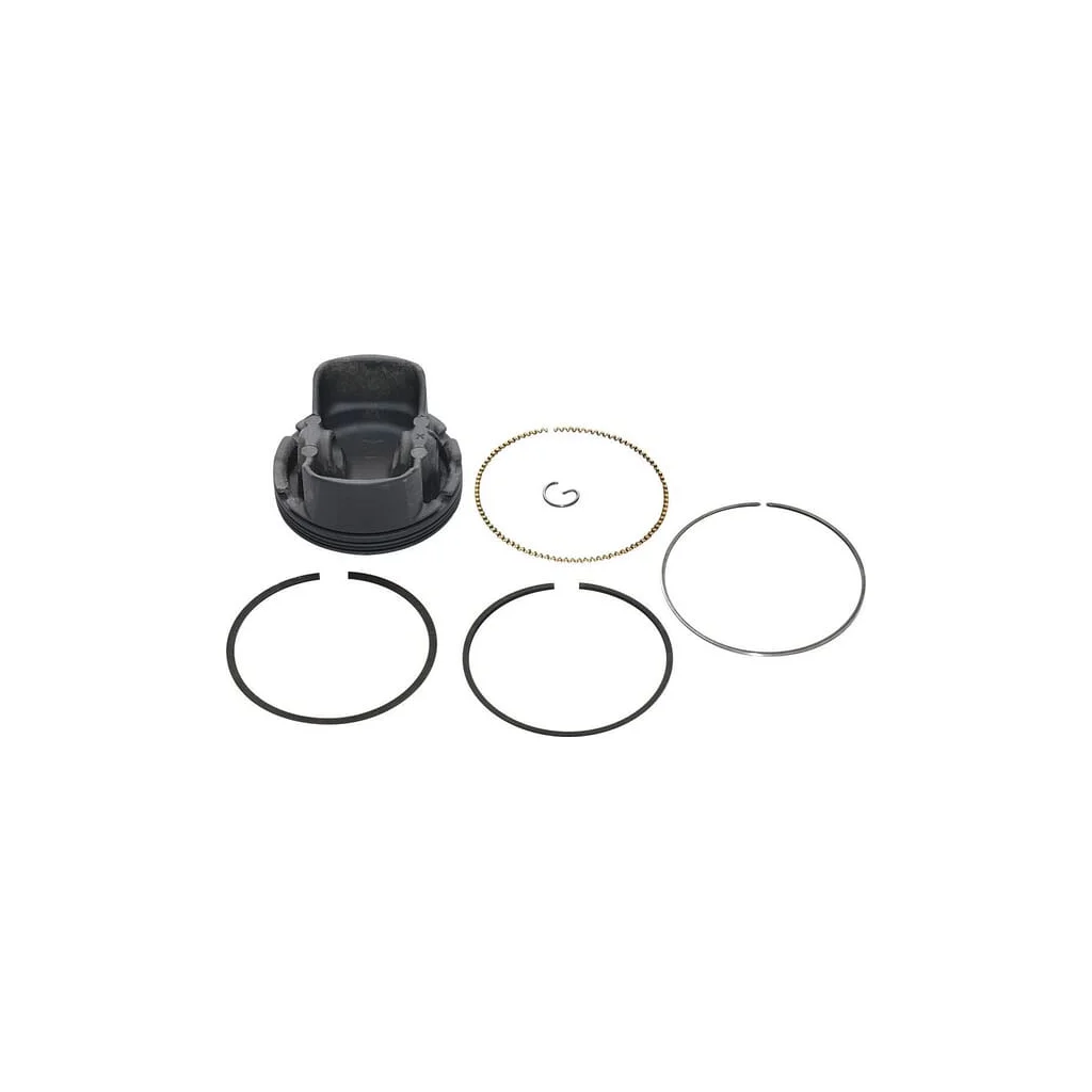 Piston complet standard 799270