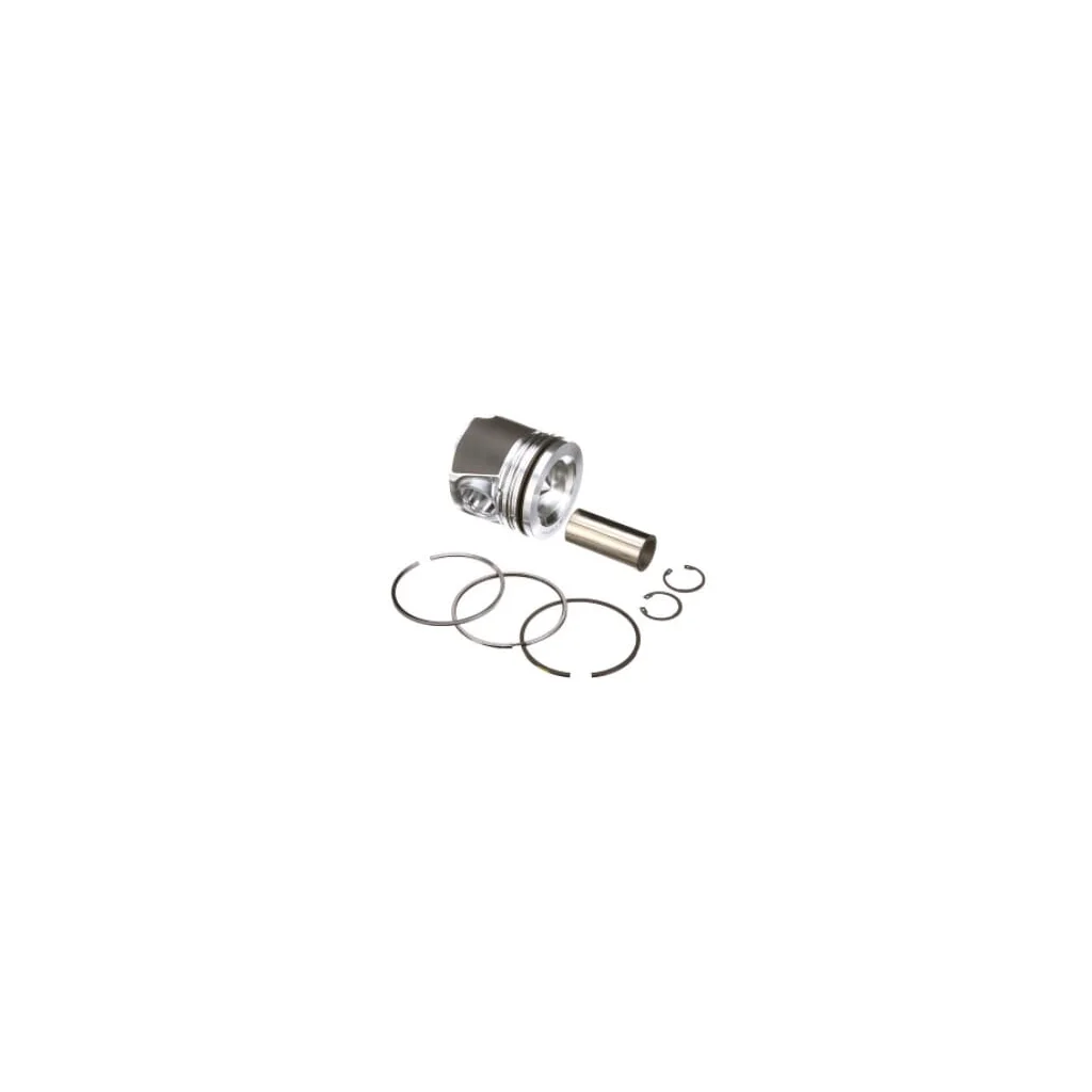 Ansamblu piston 8099152FPT