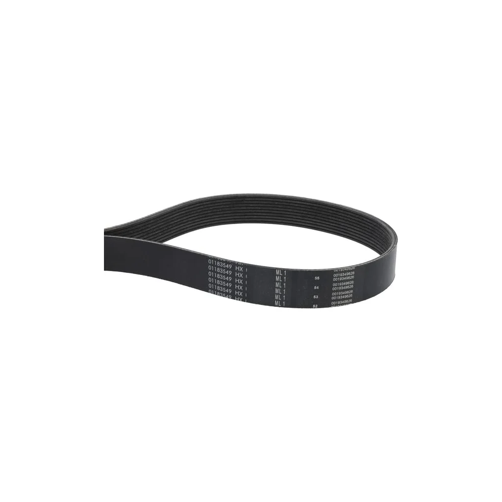 Curea trapezoidală cu caneluri 01183549
