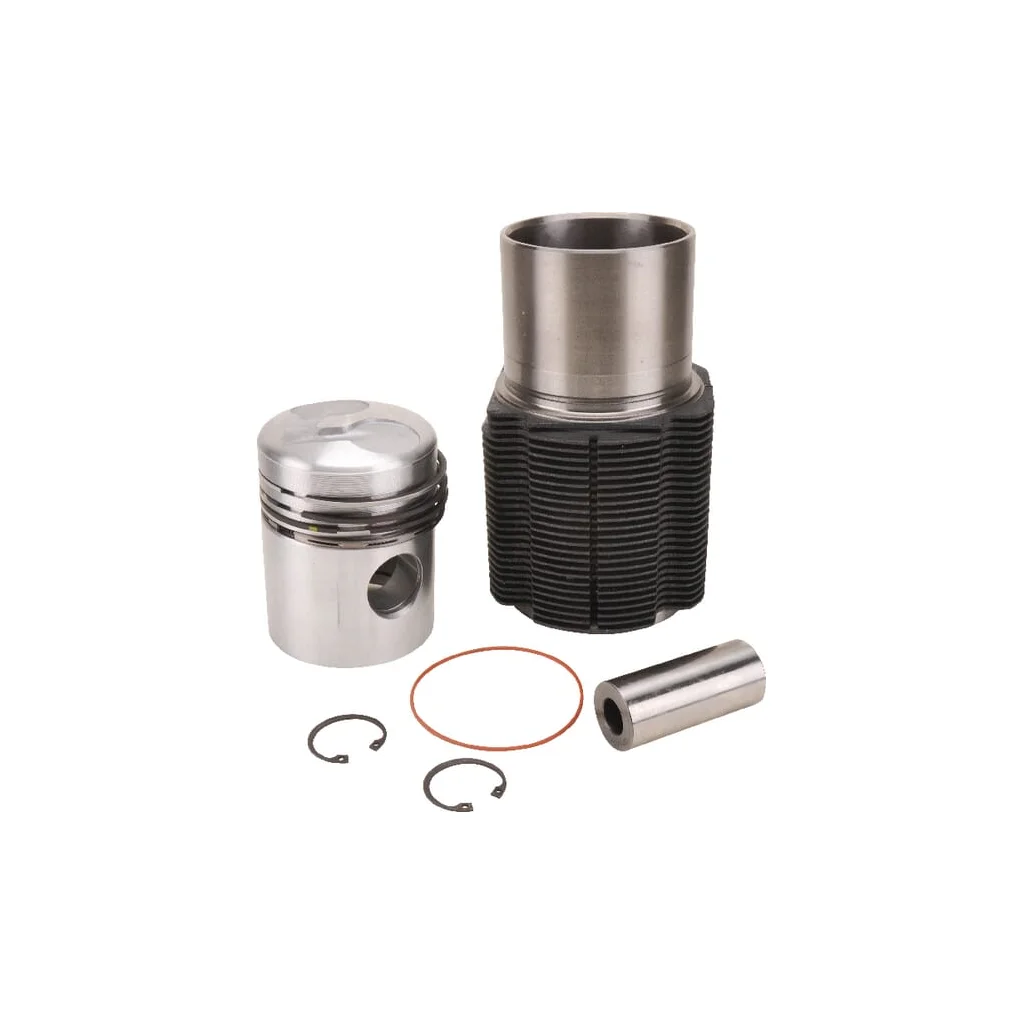 Cilindru-piston 02910303