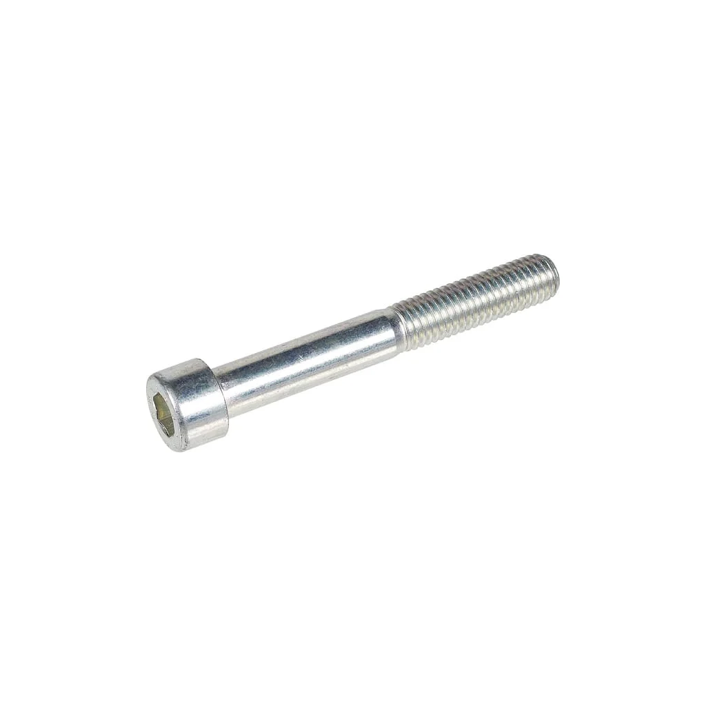 Șurub Bertolini cu cap de cheie 863575002