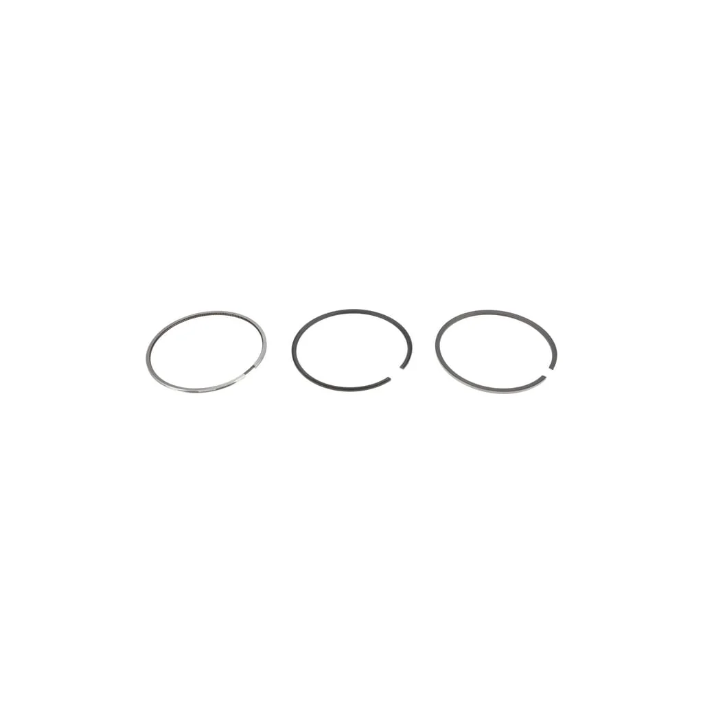 Set inele piston 04280566