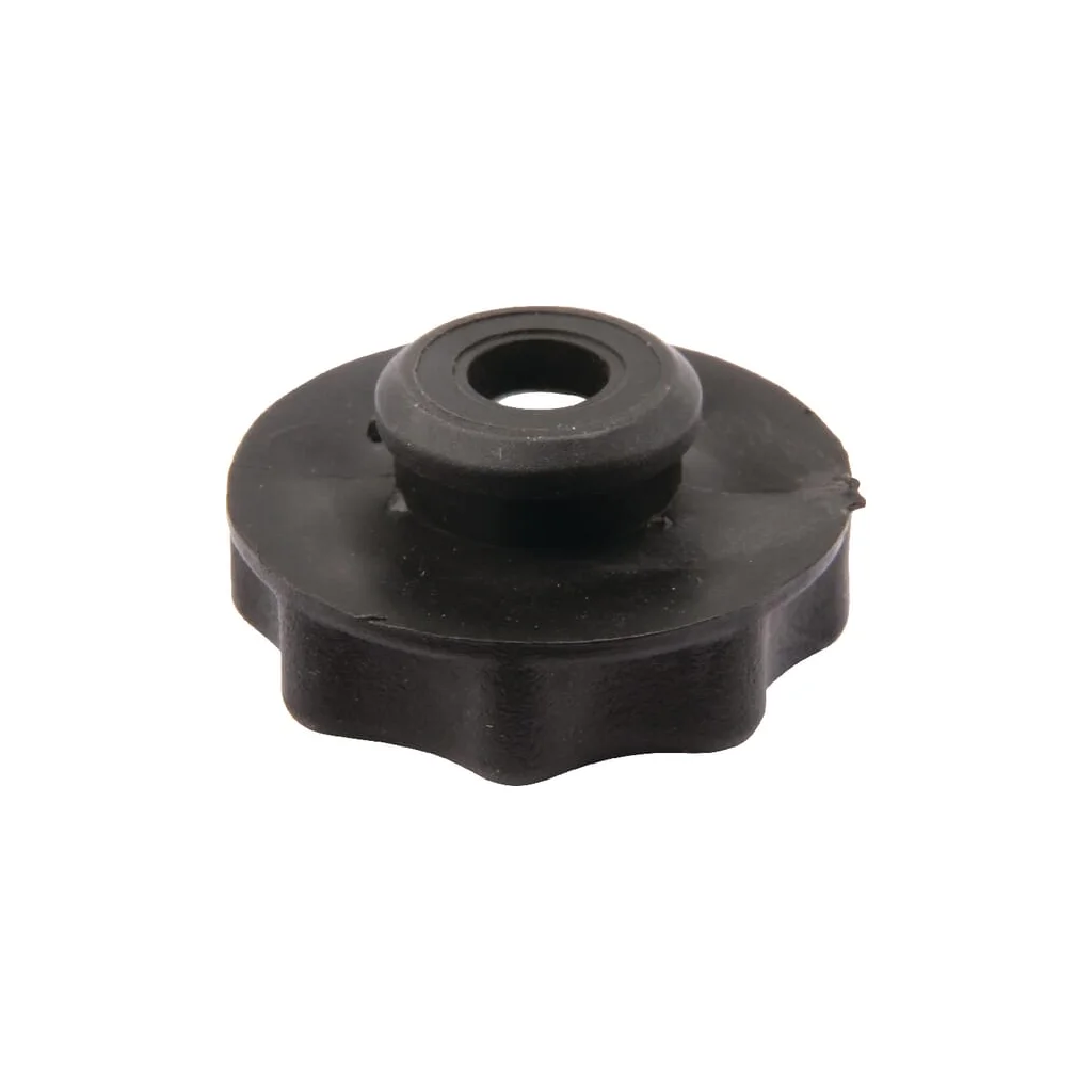 Piuliță de fixare filtru de aer AK455239