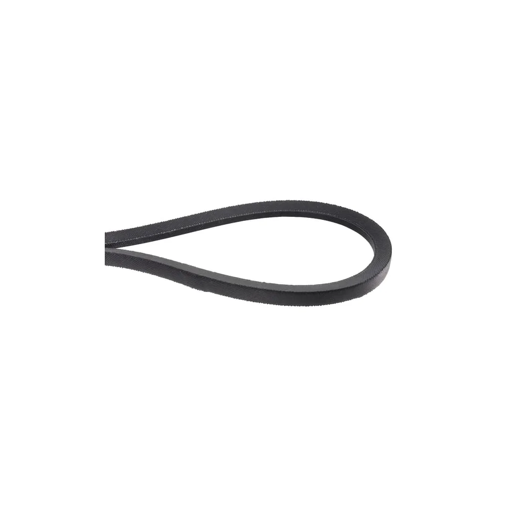 Curea de transmisie trapezoidală RM 46 AK460376