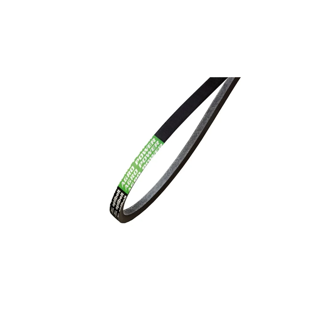 Curea trapezoidală AP1000326